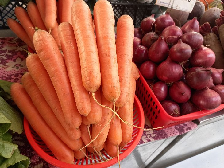 Miten voittaa porkkana- ja kaalikärpäsen: yksinkertaiset tavat on nimetty